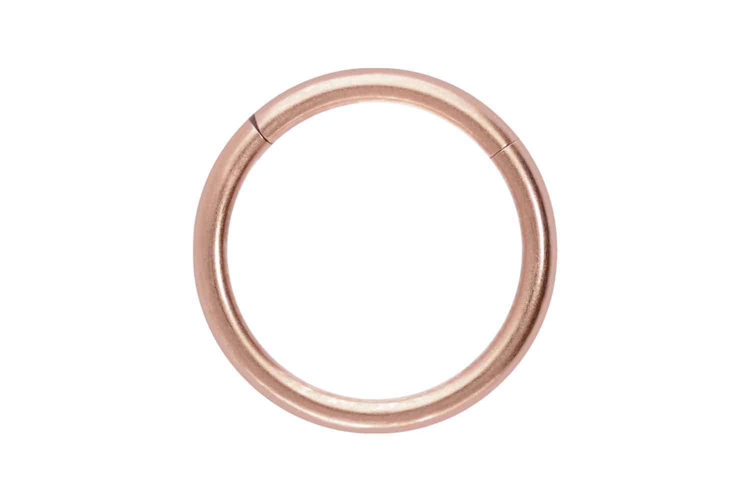 Titan Segmentring Clicker Piercing MATT